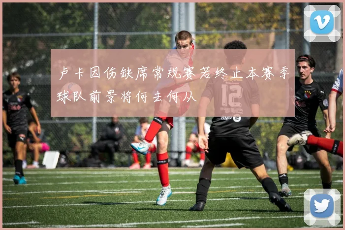卢卡因伤缺席常规赛若终止本赛季球队前景将何去何从